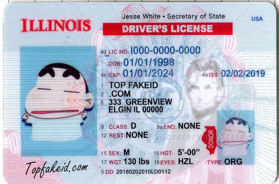 fake Illinois ID